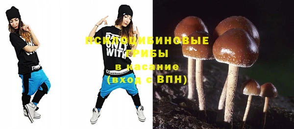 мдпв Армянск