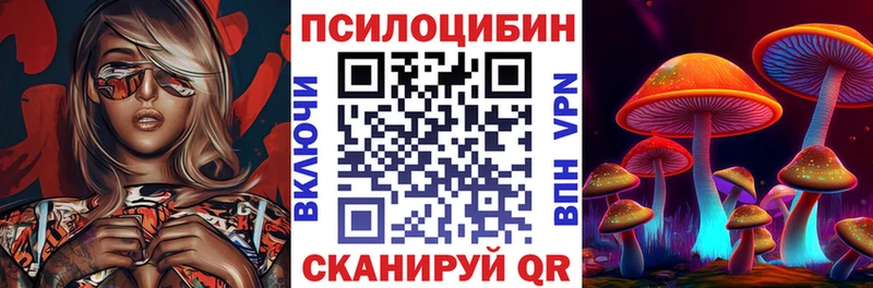 Псилоцибиновые грибы GOLDEN TEACHER  Камень-на-Оби 